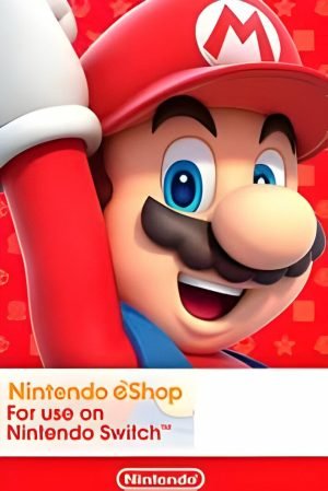 NINTENDO..